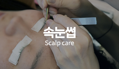 속눈썹